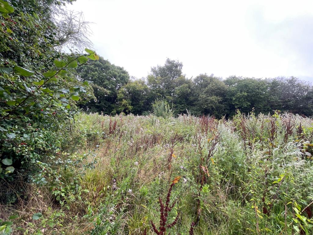 Lot: 178 - VACANT PARCEL OF FREEHOLD LAND - Overgrown land to the ear of the pub